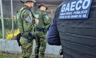 Operação do MP mira organização criminosa investigada por tráfico de animais silvestres