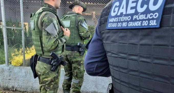 Operação do MP mira organização criminosa investigada por tráfico de animais silvestres