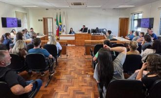 Audiência pública debate prevenção e enfrentamento da violência contra a mulher em Pedro Osório