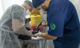 Cadastro do Castramóvel para o bairro Dunas abre nesta segunda