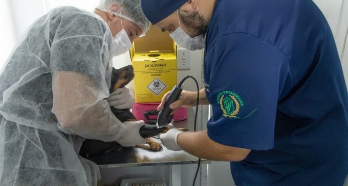 Cadastro do Castramóvel para o bairro Dunas abre nesta segunda