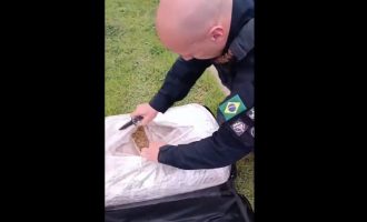 PRF prende homem transportando skunk em Pelotas