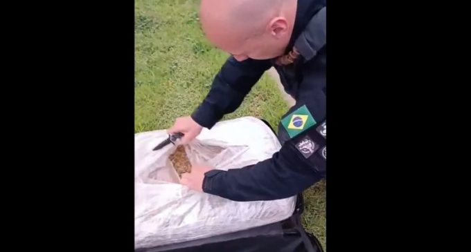 PRF prende homem transportando skunk em Pelotas