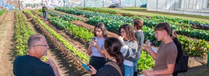 OTROPORTO apresenta projeto de segurança alimentar com horta urbana