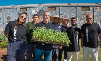 OTROPORTO apresenta projeto de segurança alimentar com horta urbana