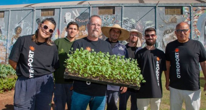 OTROPORTO apresenta projeto de segurança alimentar com horta urbana