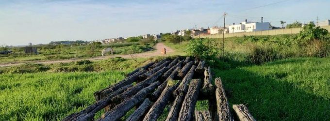 Pesquisa arqueológica é realizada no Passo dos Negros, em Pelotas