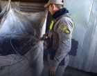 Ação integrada fiscaliza recicladoras