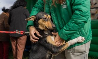 Castramóvel atenderá Passo do Salso e Vila Governaço