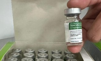Novo lote de 404 mil vacinas contra gripe é distribuído no RS