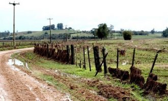 E-Campo oferece nova capacitação on-line sobre áreas degradadas e mais três temáticas