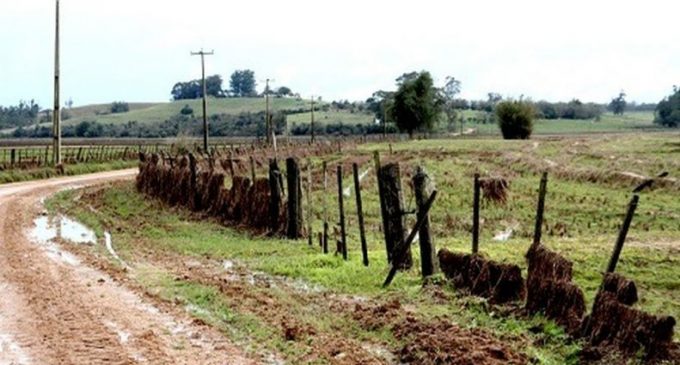 E-Campo oferece nova capacitação on-line sobre áreas degradadas e mais três temáticas