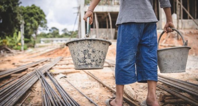 Trabalho infantil: “Quando uma criança é forçada a trabalhar, seu futuro é comprometido”, alerta desembargadora Rejane Pedra