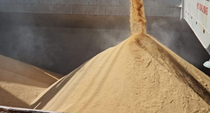 Exportações de arroz aliviam oferta interna e impulsionam recuperação dos preços