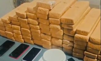 Brigada prende traficantes com 44 quilos de maconha em Pelotas