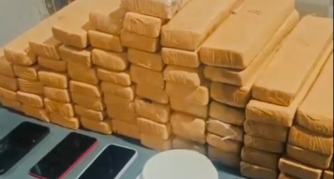 Brigada prende traficantes com 44 quilos de maconha em Pelotas