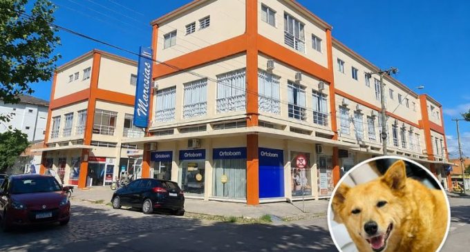 MPRS firma acordo que garante permanência da cadelinha Regina em condomínio no Cassino