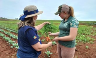 Plano Safra da Agricultura Familiar amplia crédito