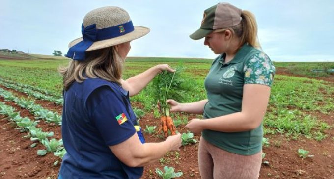 Plano Safra da Agricultura Familiar amplia crédito