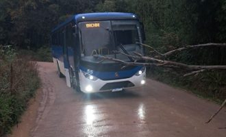 Linha Bachini terá alterações nos horários nesta segunda-feira (17)