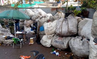 Nova ação das autoridades contra recicladora irregular