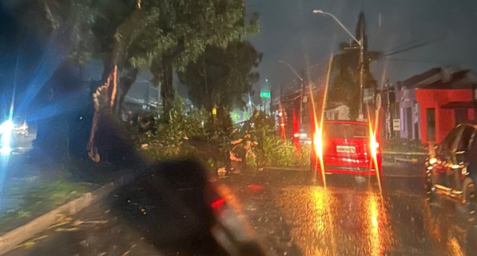 Temporal deixa 200 casas destelhadas, provoca estragos e suspende aulas em Pelotas