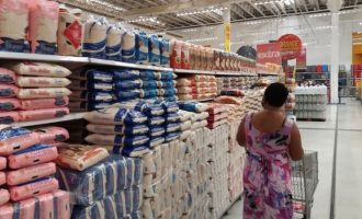 Levantamento identificou classificação inferior à declarada em 215 das 268 amostras selecionadas de arroz vendido como Tipo 1