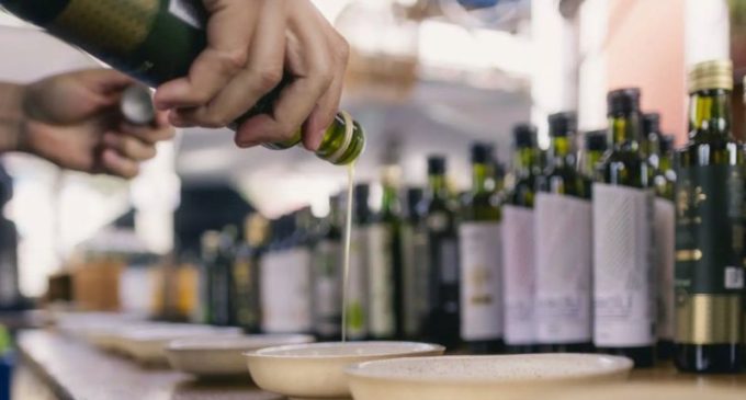 Número de azeites gaúchos com Selo Premium de qualidade quase dobra e chega a 26