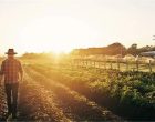 Pelotas sedia 2º Congresso Regional de Direito Agrário com debates sobre sustentabilidade, tecnologia e gestão