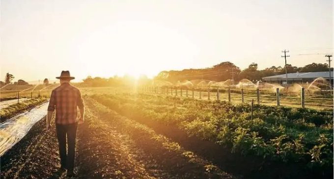 Pelotas sedia 2º Congresso Regional de Direito Agrário com debates sobre sustentabilidade, tecnologia e gestão