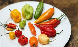 Quanto mais ardida, melhor? Conheça 9 tipos de pimenta e quando usar cada uma